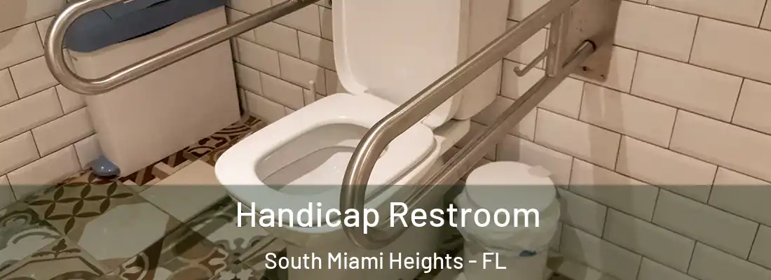 Handicap Restroom South Miami Heights - FL